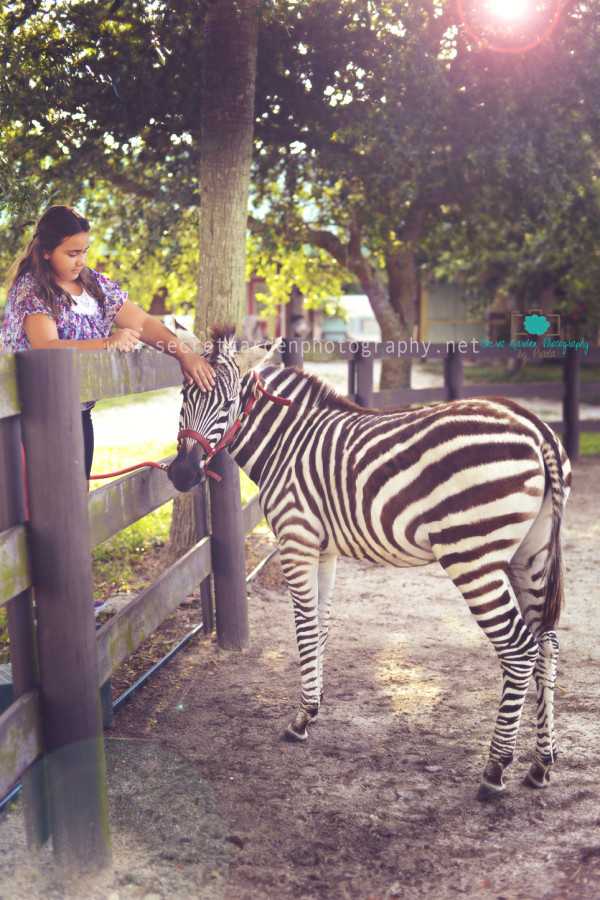 palm beach child photographer