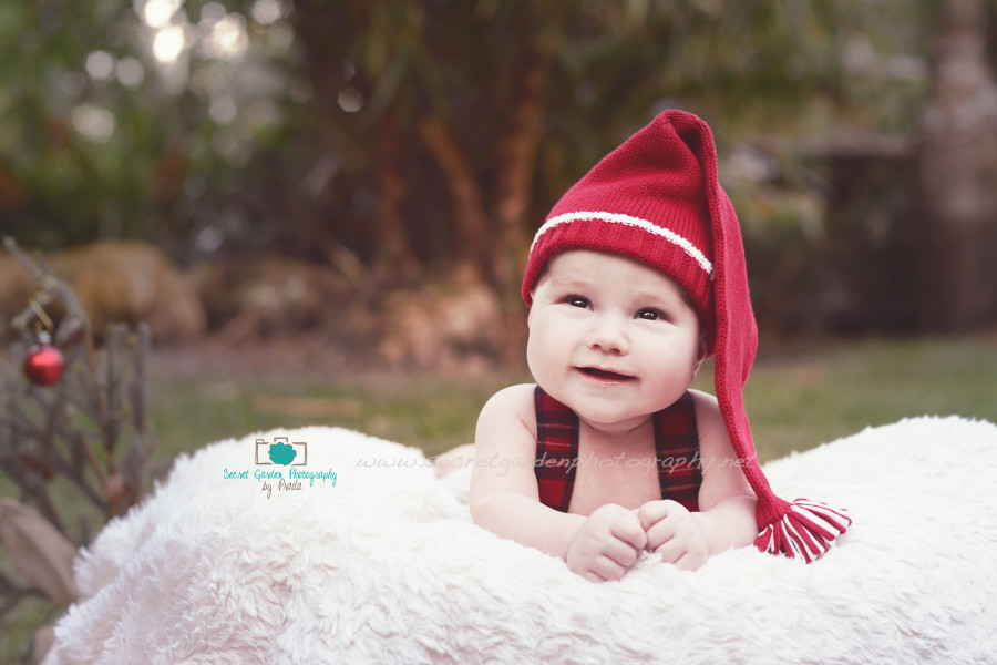 palm beach baby photographer