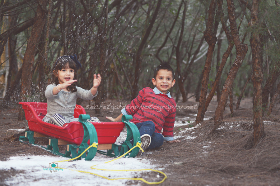 christmas photographer south florida