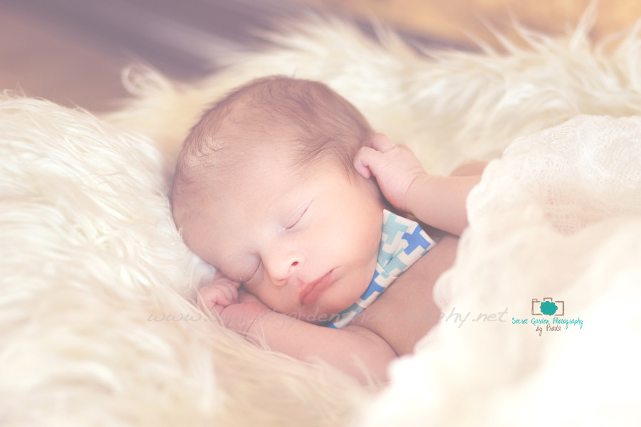 newborn photographer florida