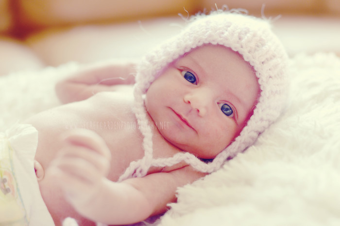 newborn photographer