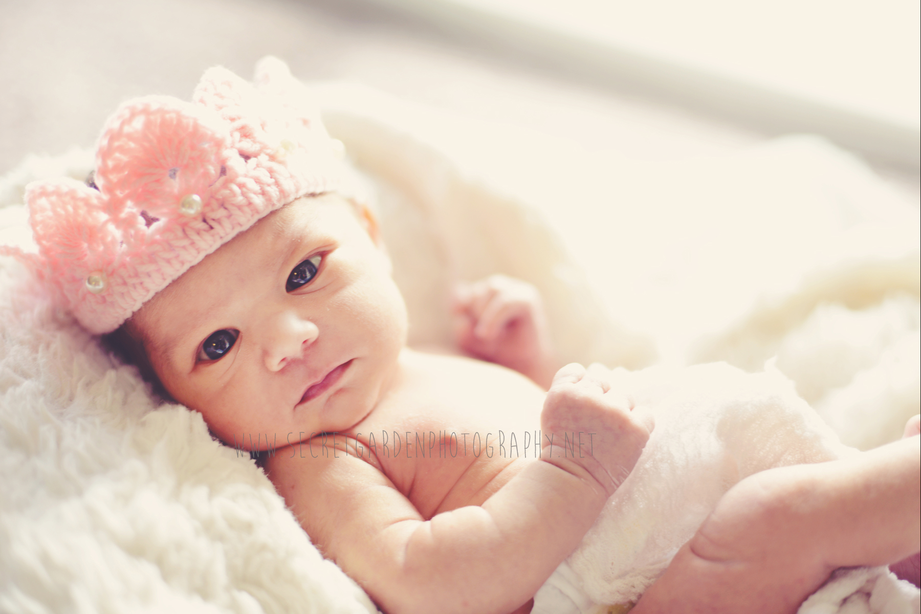 baby princess west palm beach newborn photographer.